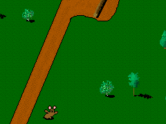 Superälykkäät metsäjänikset on opetettu näyttämään lentokoneille laskeutumiskäsimerkkejä.