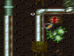 Näinkin voi käydä. Onneton soturi juuttuu nurkkaan muukalaisten näykkiessä varpaita!